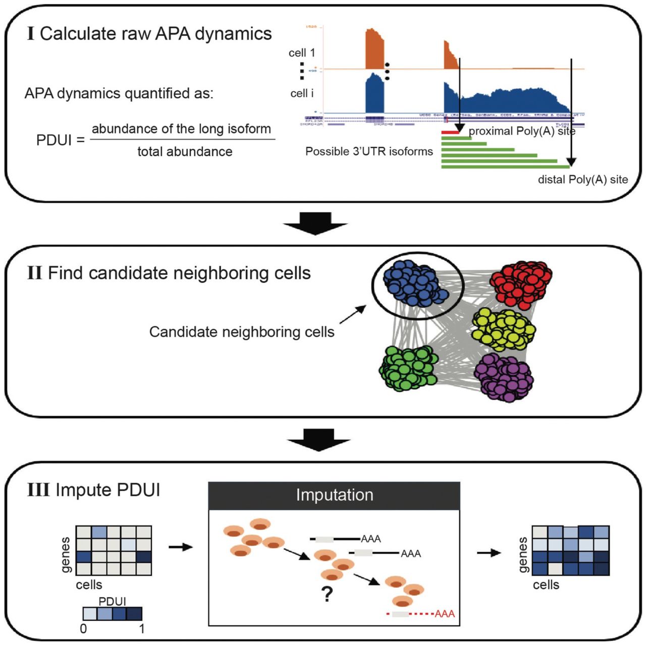 Computational And Disease Genomics Lab - Home