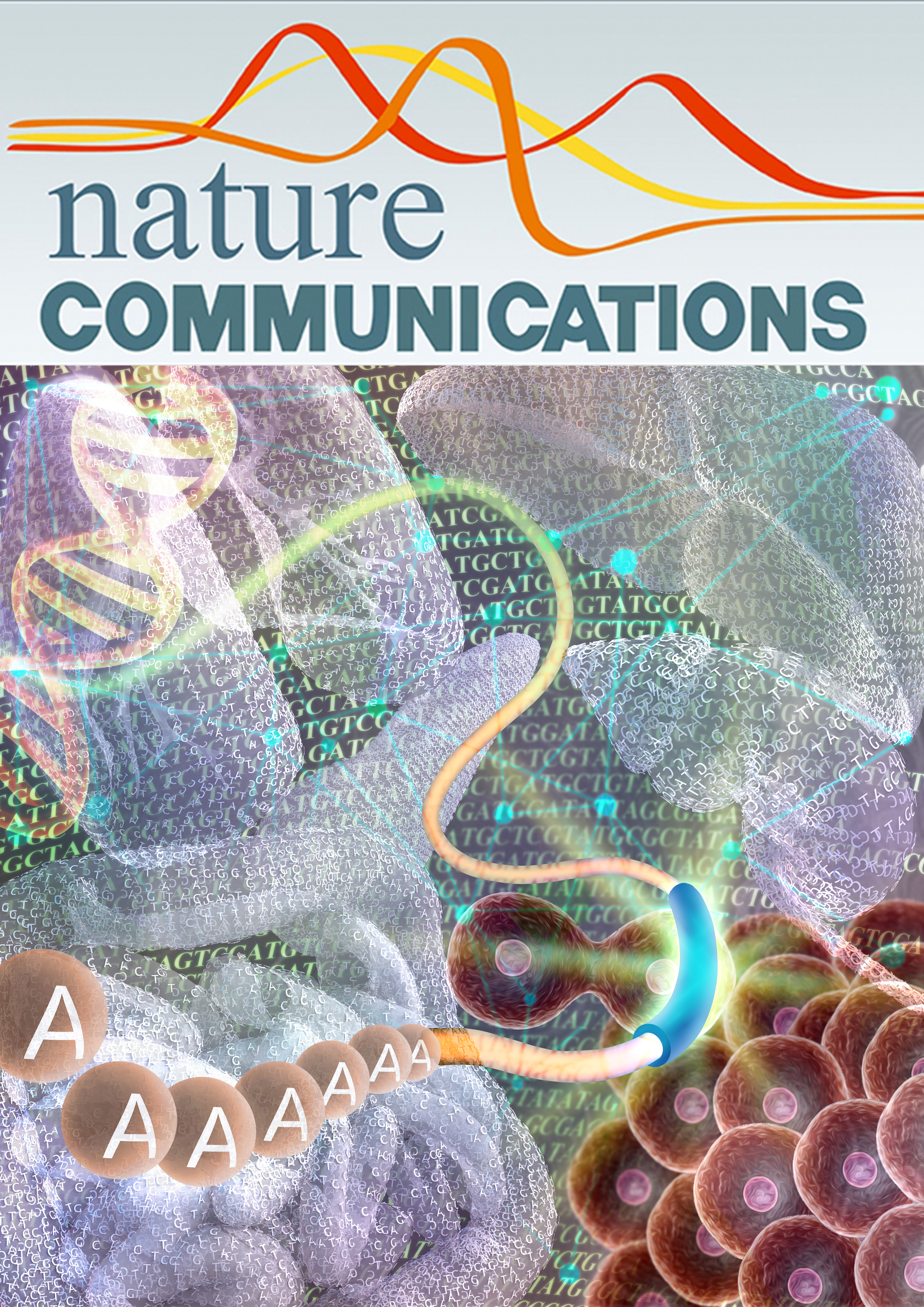 Journal cover